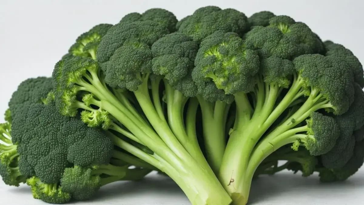 Broccoli - Valori nutritive, proprietati si beneficii