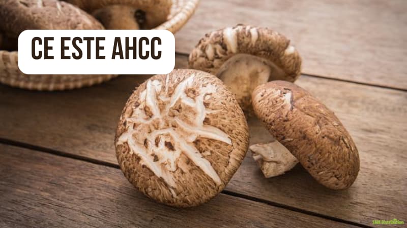 Ce este AHCC, Beneficii si Efecte Terapeutice