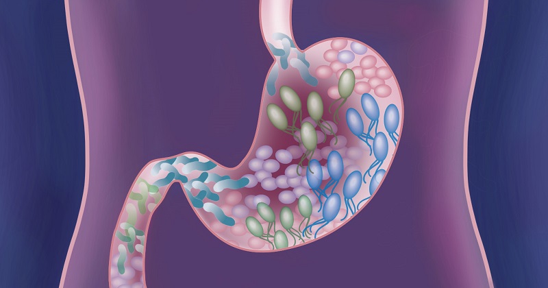 10 moduri prin care iti poti echilibra microbiomul intestinal
