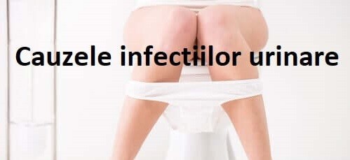 Cauzele infectiilor tractului urinar 