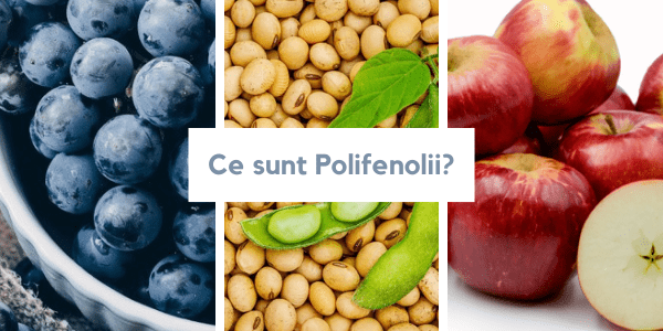 Polifenoli - Ce sunt si in ce alimente se gasesc?
