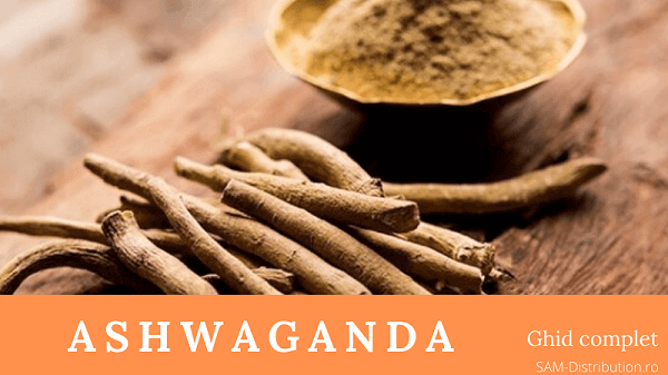 Ashwagandha – Top 10 Beneficii dovedite pentru sanatate