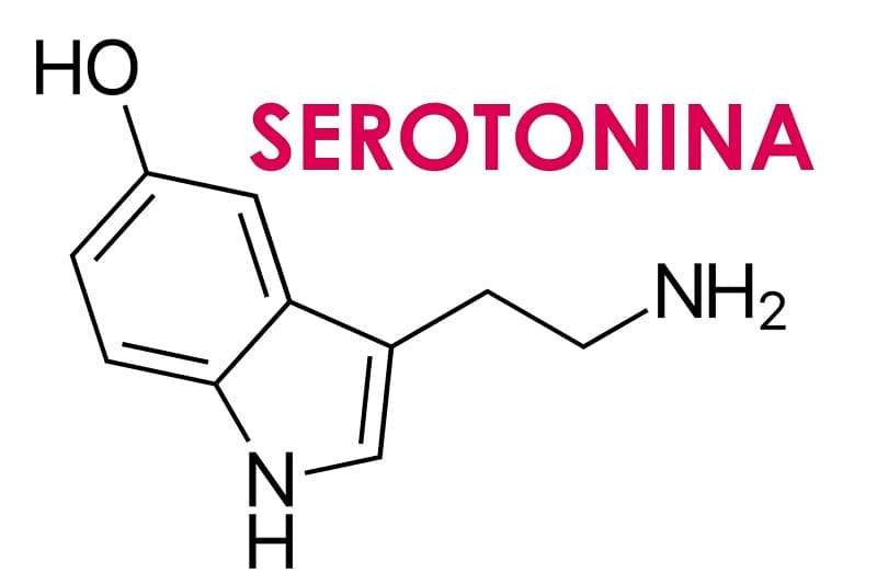 Serotonina sau hormonul fericirii: tot ce trebuie sa stii