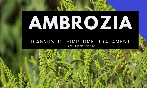 Alergia la ambrozie: diagnostic, simptome si metode de tratament