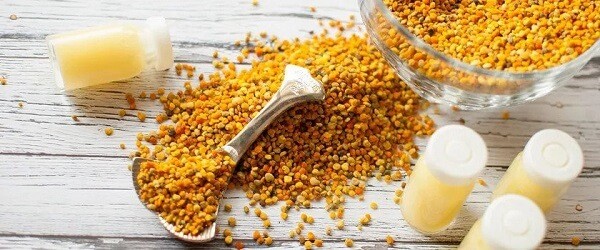 Laptisor de matca: proprietati, beneficii, mod de utilizare