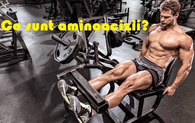 Aminoacizii: ce sunt si cum ne influenteaza starea de sanatate