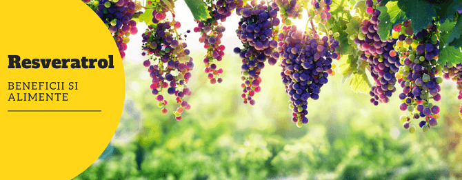 Totul despre Resveratrol - beneficii, proprietati si utilizare