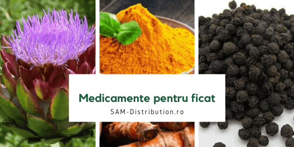 Cele mai bune medicamente pentru ficat si regenerare