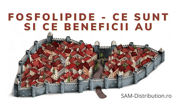 Fosfolipide - Ce sunt si ce beneficii au pentru organism?