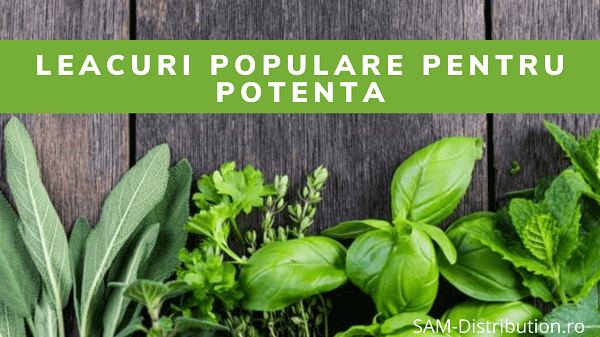 Sfaturi si leacuri populare pentru potenta: beneficii si efecte