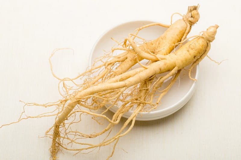 Ginseng Coreean. Rădăcina vieții – putere, energie și vitalitate