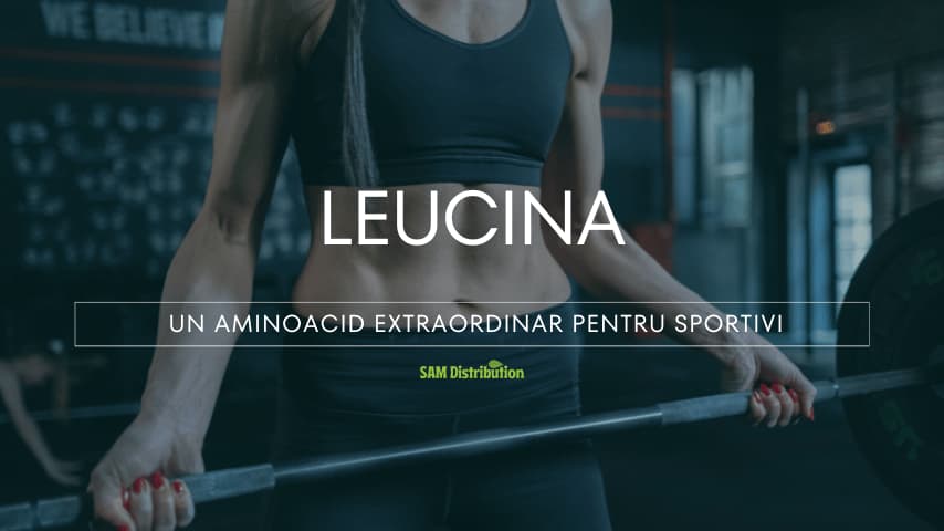 Leucina – Ce este, Beneficii si Administrare