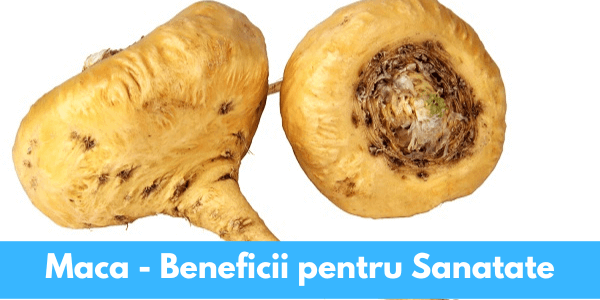 Maca – Proprietati, Beneficii & Utilizari de care nu stiai