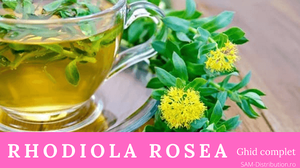 Rhodiola: beneficii si contraindicatii