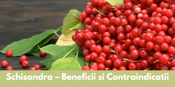 Schisandra – Beneficii si Contraindicatii
