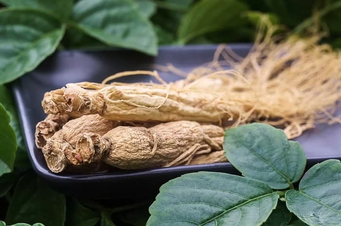 Ginseng siberian - beneficii, proprietăți medicinale, contraindicații