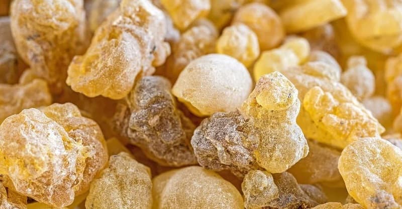 Boswellia Serrata (Tamaie) – Beneficii, Proprietati, Contraindicatii
