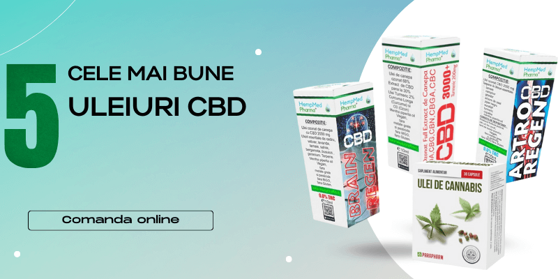 Cele mai bune 5 uleiuri de canepa CBD din 2024