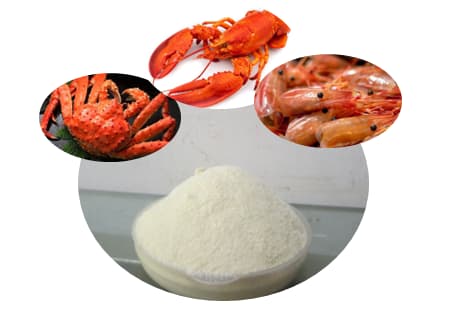 Ce este Chitosanul - Top 5 Beneficii asupra sanatatii