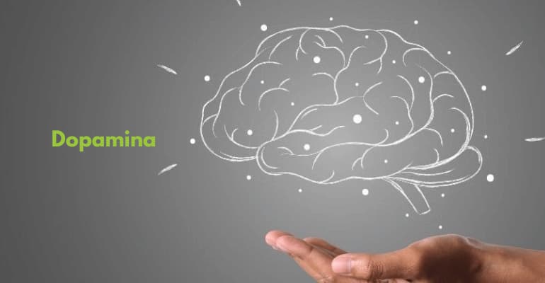 Dopamina (hormonul fericirii) - Ce este si ce rol joacă în organism