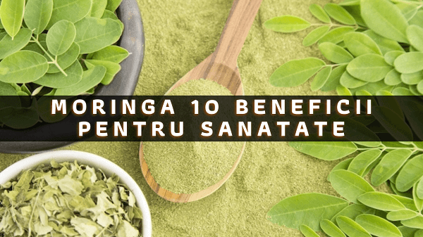 Moringa – 10 beneficii pentru sanatate