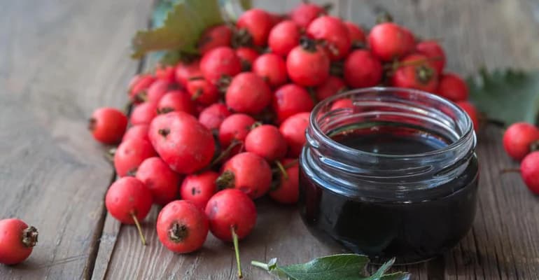 Paducel – Ce Beneficii Are si Cum se Consuma