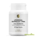 Boswellia Lipozomala cu AKBA, Novo Biomedics, 45 capsule