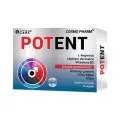 Potent, 30 capsule, Cosmopharm