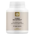 Extract de ciuperca Chaga, Novo Biomedics, 60 capsule
