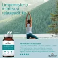 Magnesium citrat + bisglycinat + taurat + malat + oxid, Neutrient, 120 capsule
