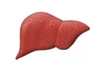 Protectoare hepatice