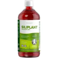 Silicium G7 Siliplant, Silicium Espana, 1000 ml