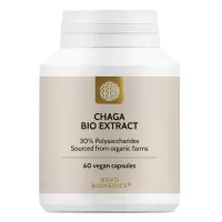 Extract de ciuperca Chaga, Novo Biomedics, 60 capsule