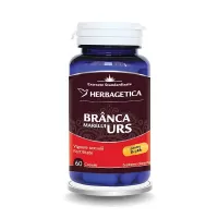 Branca Marelui Urs, 60 capsule, Herbagetica