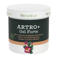 Artro Gel Forte pentru masaj terapeutic, 250 ml, Biomedicus