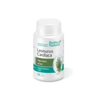 Leonurus Cardiaca, Extract Talpa Gastei, 30 capsule, Rotta Natura