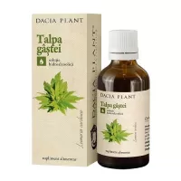 Tinctura de Talpa Gastei, Dacia Plant, 50 ml