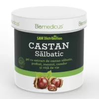 Gel Castan Salbatic, 250 ml, Biomedicus