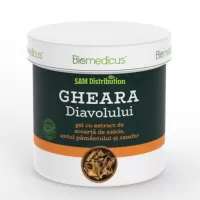Gel Gheara Diavolului si Untul Pamantului, 250 ml, Biomedicus