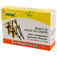 Gemoderivat Muguri de Artar de Campie, 30 monodoze, Hofigal