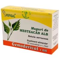 Muguri de Mesteacan Alb Gemoderivat, 30 monodoze, Hofigal