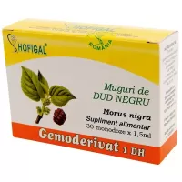 Gemoderivat Muguri de Dud negru, 30 monodoze, Hofigal