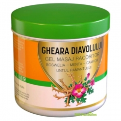 Gel de masaj racoritor Gheara Diavolului, Praemium, 275 ml
