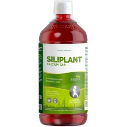 Silicium G7 Siliplant Dinamizat, Silicium Espana, 1000 ml