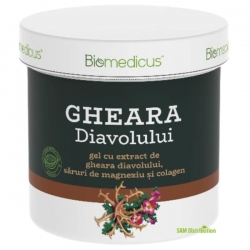 Gheara diavolului gel cu extract de saruri de magneziu si colagen, Biomedicus