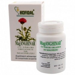 Mag Anghinar, 60 comprimate, Hofigal