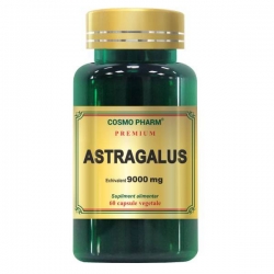 Premium Astragalus Extract 9000mg, 60 capsule, Cosmopharm