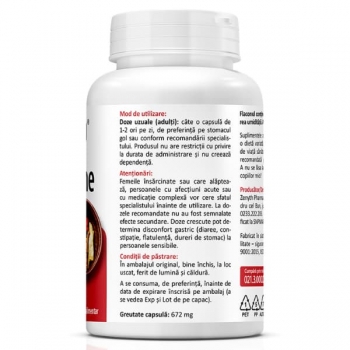 Berberina 500 mg, 60 capsule, Zenyth