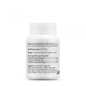 Liposomal Flash Pain Relief, Novo Biomedics, 30 capsule