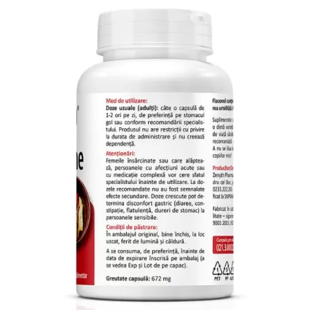 Berberina 500 mg, 60 capsule, Zenyth